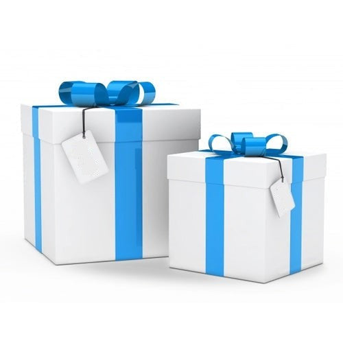 DXC FY26 H1 Champion Collaborators Award